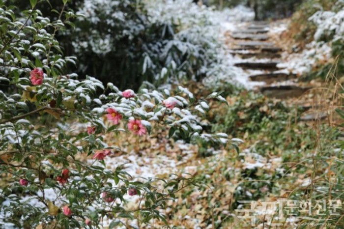 사본 -0. 눈내린 천리포수목원 정원 4.jpg