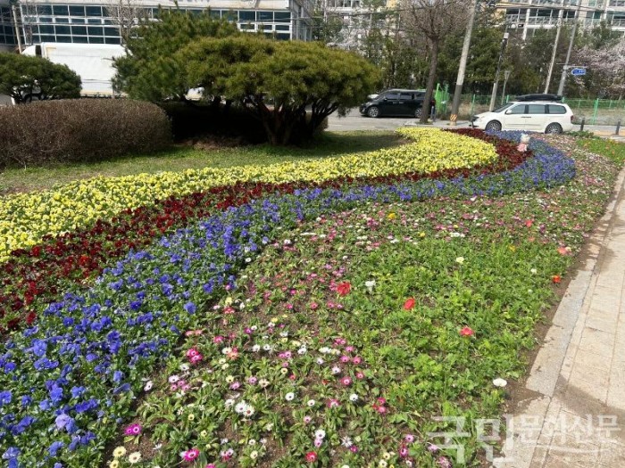 11. 처인구가 동부동 주민센터 앞 교통섬(사진) 등을 꽃으로 단장했다..jpg