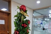 용인시, 아이비 식물 크리스마스 트리 키트 선착순 120가족 제공