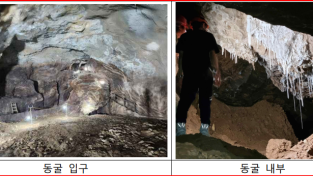 터널공사 중 발견된 「영월 분덕재동굴」 천연기념물 지정 예고