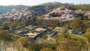 한국민속촌에서 조선 시대 이색 꽃놀이 즐긴다