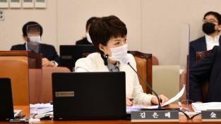 김은혜의원 “대장동 임대주택 비율 절반 이상 줄어”... 15%→6.7%