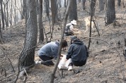 “생명을 살리는 씨앗” 동물권행동 카라, 울진 산불 피해 지역 생태 복원 활동 나서